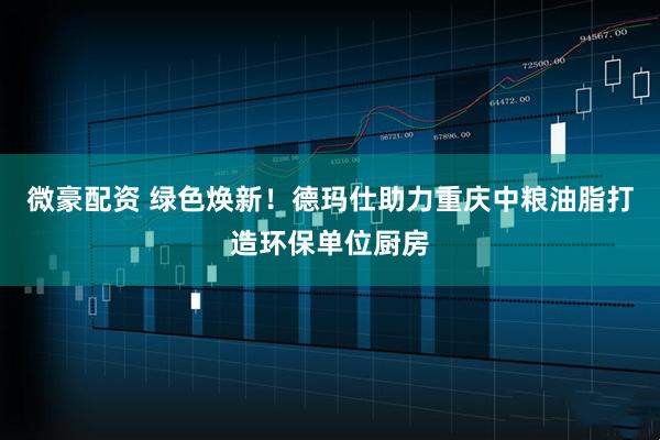 微豪配资 绿色焕新！德玛仕助力重庆中粮油脂打造环保单位厨房