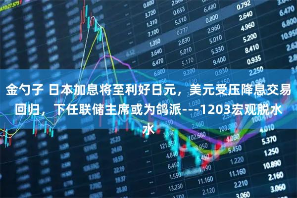 金勺子 日本加息将至利好日元，美元受压降息交易回归，下任联储主席或为鸽派---1203宏观脱水