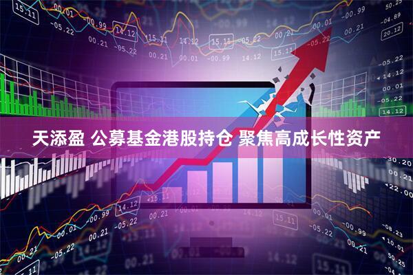 天添盈 公募基金港股持仓 聚焦高成长性资产