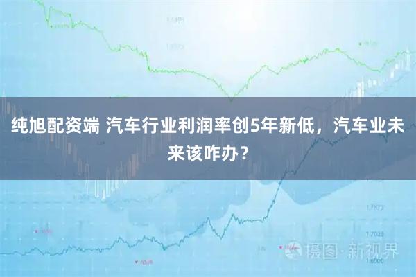 纯旭配资端 汽车行业利润率创5年新低，汽车业未来该咋办？